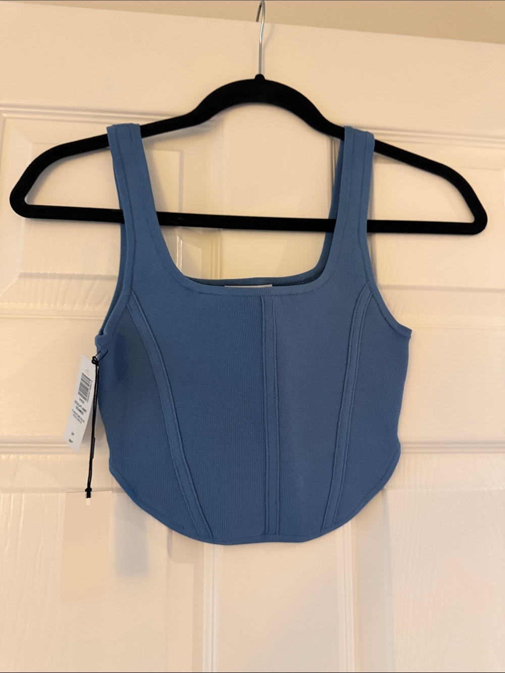 Aritzia Blue Ribbed Sculpt Knit Seamed Babaton Tank Top